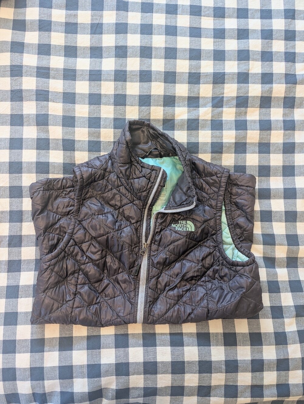 The North Face Vest